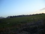 Barton Green Belt
